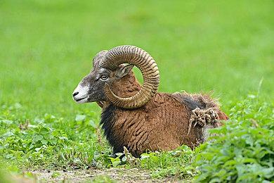 《八方旅人2》TGS 2022试玩20分钟实机内容分享